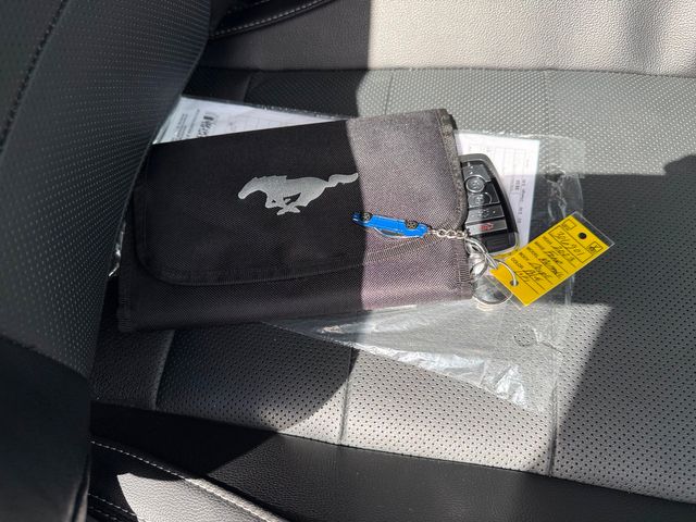 2023 Ford Mustang GT PREMIUM COYOTE 5.0 GT EXHAUST 3.55 NITE PONY | Plant City, FL | psv5 DEMO - Bayshore Automotive