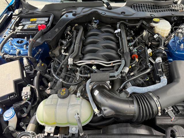 2023 Ford Mustang GT PREMIUM COYOTE 5.0 GT EXHAUST 3.55 NITE PONY | Plant City, FL | psv5 DEMO - Bayshore Automotive