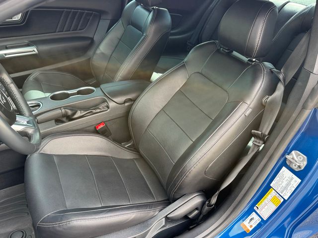 2023 Ford Mustang GT PREMIUM COYOTE 5.0 GT EXHAUST 3.55 NITE PONY | Plant City, FL | psv5 DEMO - Bayshore Automotive 2023 Ford Mustang GT PREMIUM COYOTE 5.0 GT EXHAUST 3.55 NITE PONY | Plant City, FL | psv5 DEMO - Bayshore Automotive