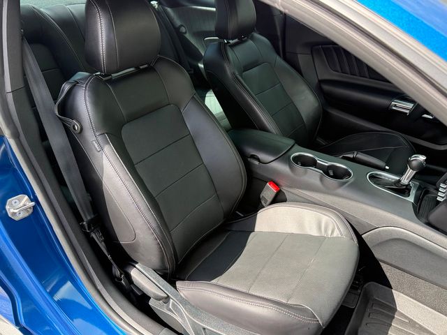 2023 Ford Mustang GT PREMIUM COYOTE 5.0 GT EXHAUST 3.55 NITE PONY | Plant City, FL | psv5 DEMO - Bayshore Automotive 2023 Ford Mustang GT PREMIUM COYOTE 5.0 GT EXHAUST 3.55 NITE PONY | Plant City, FL | psv5 DEMO - Bayshore Automotive