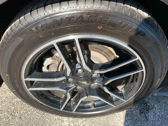 2023 Ford Mustang GT Premium | San Antonio, TX | Clear Choice Automotive South 2023 Ford Mustang GT Premium | San Antonio, TX | Clear Choice Automotive South