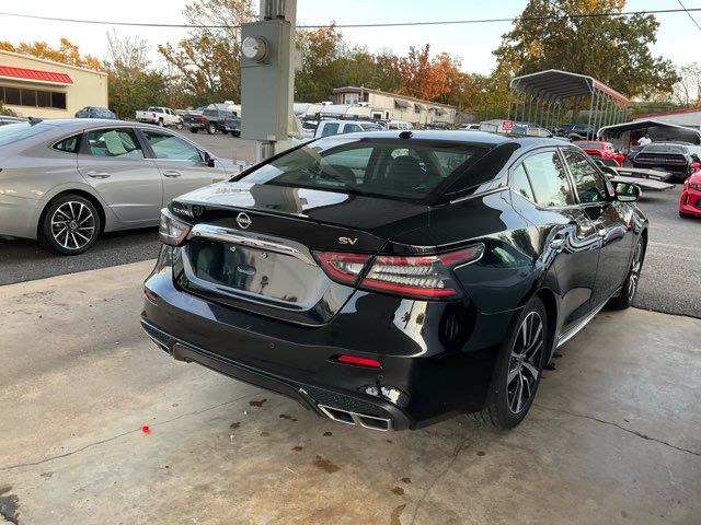 2023 Nissan Maxima 3.5 SV - John Gibson Auto Sales Hot Springs 2023 Nissan Maxima 3.5 SV - John Gibson Auto Sales Hot Springs