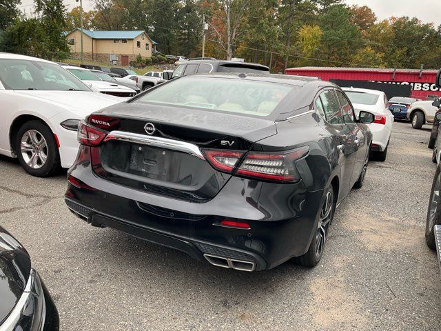 2023 Nissan Maxima 3.5 SV - John Gibson Auto Sales Hot Springs 2023 Nissan Maxima 3.5 SV - John Gibson Auto Sales Hot Springs