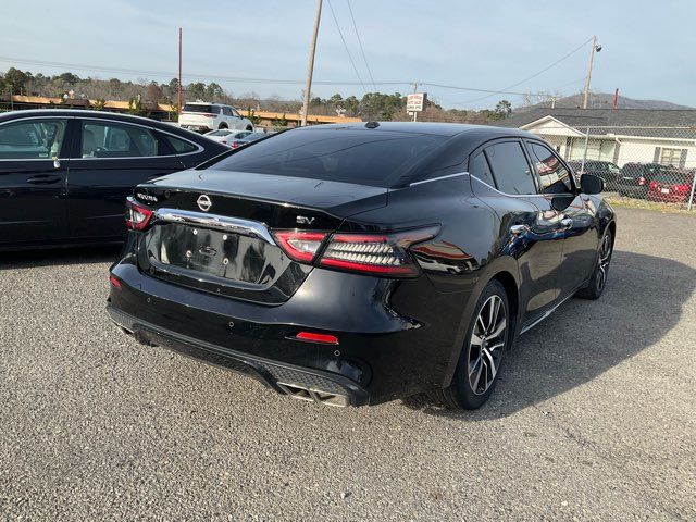 2023 Nissan Maxima 3.5 SV - John Gibson Auto Sales Hot Springs