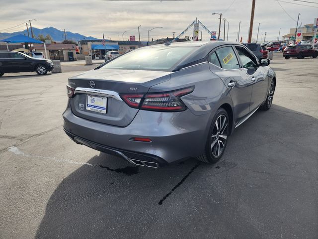 2023 Nissan Maxima 3.5 SV 2023 Nissan Maxima 3.5 SV