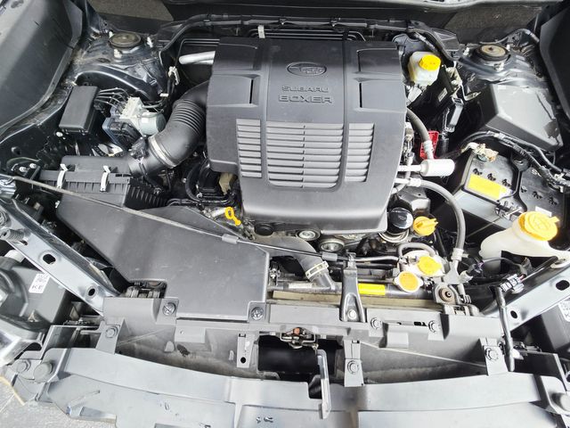 2023 Subaru Forester Wilderness | Ellisville, MO | AutoPort 2023 Subaru Forester Wilderness | Ellisville, MO | AutoPort