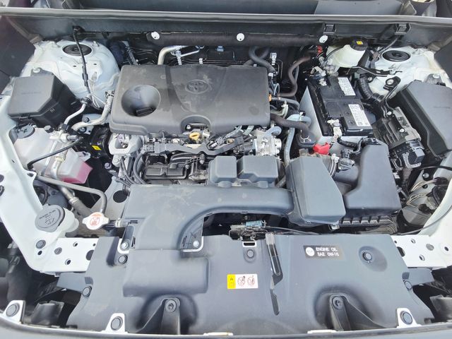 2023 Toyota RAV4 XLE | Ellisville, MO | AutoPort