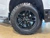 2024 Chevrolet Silverado 1500 LT Trail Boss | Plano, TX | AutoRevo PowerSites - Demo1