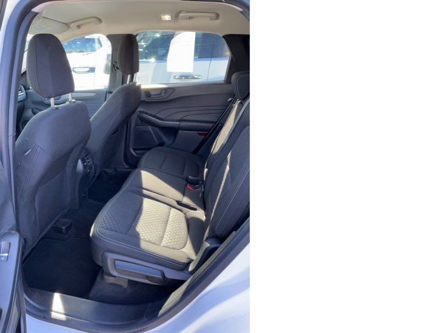 2024 Ford Escape Active - John Gibson Auto Sales Hot Springs 2024 Ford Escape Active - John Gibson Auto Sales Hot Springs