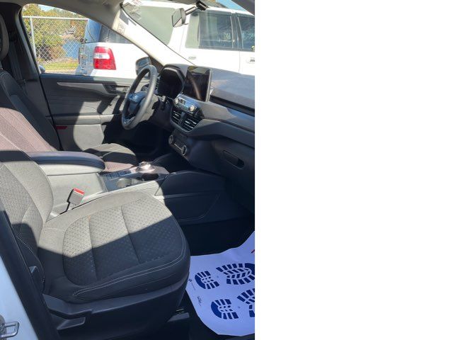 2024 Ford Escape Active - John Gibson Auto Sales Hot Springs 2024 Ford Escape Active - John Gibson Auto Sales Hot Springs