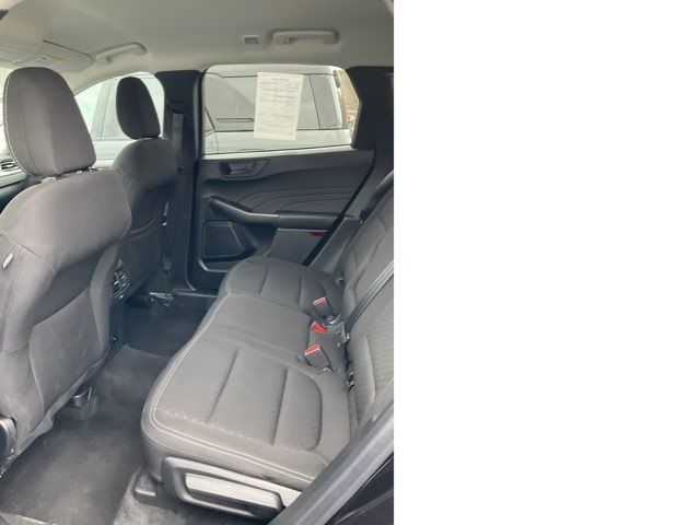 2024 Ford Escape Active - John Gibson Auto Sales Hot Springs 2024 Ford Escape Active - John Gibson Auto Sales Hot Springs