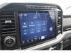 2024 Ford F-150 XLT | Tomball, TX | Ask Jorge Lopez