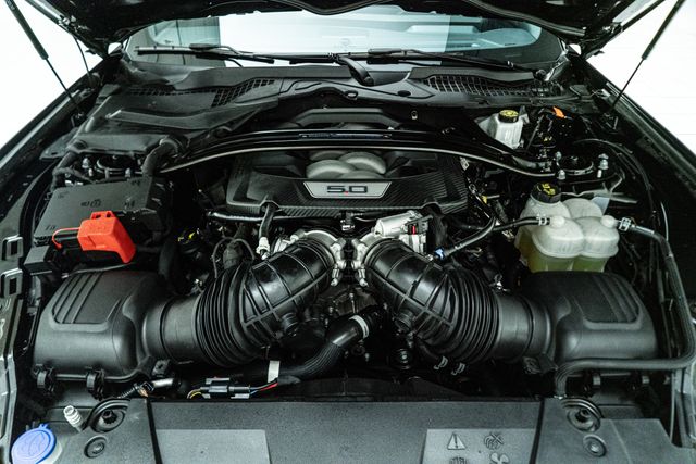 2024 Ford Mustang Dark Horse w/ Handling Package &amp; Recaros | Carrollton, TX | Texas Hot Rides