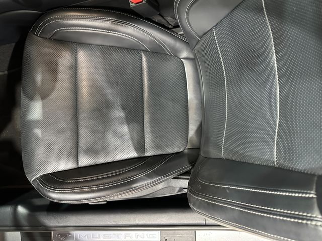 2024 Ford Mustang GT Fastback Loaded, Auto, One-Owner, Only 41k | Dallas, Texas | Corvette Warehouse 