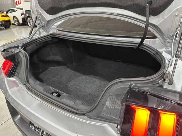2024 Ford Mustang GT Fastback Loaded, Auto, One-Owner, Only 41k | Dallas, Texas | Corvette Warehouse 2024 Ford Mustang GT Fastback Loaded, Auto, One-Owner, Only 41k | Dallas, Texas | Corvette Warehouse