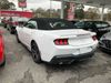 2024 Ford Mustang  - John Gibson Auto Sales Hot Springs