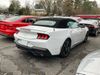 2024 Ford Mustang  - John Gibson Auto Sales Hot Springs