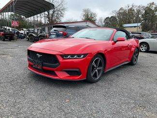 2024 Ford Mustang  in Hot Springs, AR 71913