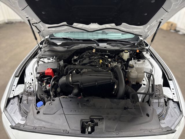 2024 Ford Mustang EcoBoost | Houston, TX | Texas Star Motors 2024 Ford Mustang EcoBoost | Houston, TX | Texas Star Motors