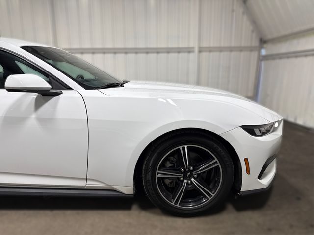 2024 Ford Mustang EcoBoost | Houston, TX | Texas Star Motors 2024 Ford Mustang EcoBoost | Houston, TX | Texas Star Motors