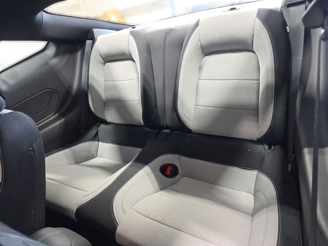 2024 Ford Mustang EcoBoost | Houston, TX | Texas Star Motors 2024 Ford Mustang EcoBoost | Houston, TX | Texas Star Motors