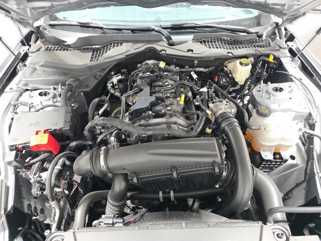 2024 Ford Mustang EcoBoost 2024 Ford Mustang EcoBoost