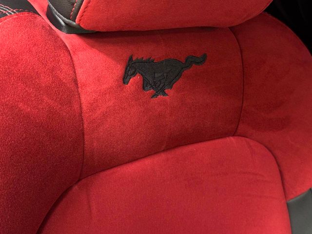 2024 Ford Mustang GT Premium 2dr Fastback | Houston, TX | Houston Auto Credit 2024 Ford Mustang GT Premium 2dr Fastback | Houston, TX | Houston Auto Credit