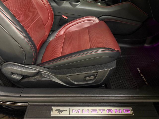 2024 Ford Mustang GT Premium 2dr Fastback | Houston, TX | Houston Auto Credit 2024 Ford Mustang GT Premium 2dr Fastback | Houston, TX | Houston Auto Credit