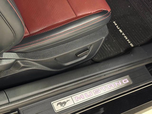 2024 Ford Mustang GT Premium 2dr Fastback | Houston, TX | Houston Auto Credit 2024 Ford Mustang GT Premium 2dr Fastback | Houston, TX | Houston Auto Credit