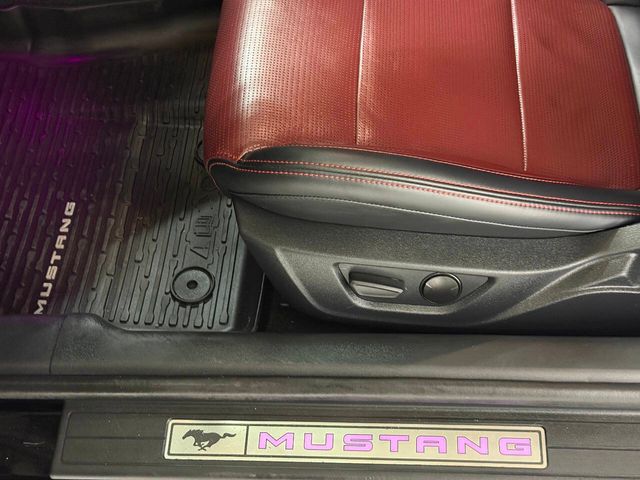 2024 Ford Mustang GT Premium 2dr Fastback | Houston, TX | Houston Auto Credit 2024 Ford Mustang GT Premium 2dr Fastback | Houston, TX | Houston Auto Credit