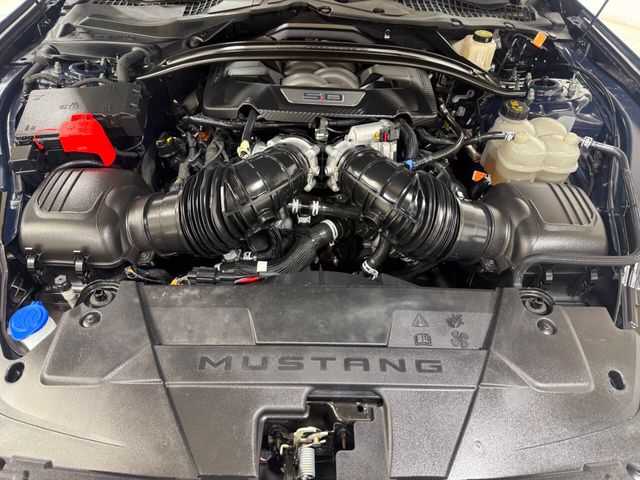 2024 Ford Mustang Dark Horse | Houston, TX | Houston Auto Credit