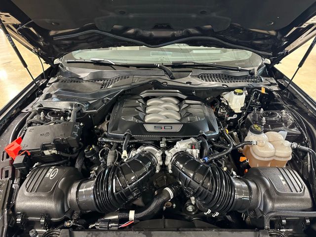 2024 Ford Mustang GT Premium | Irving, Texas | Hopper Motorplex 2024 Ford Mustang GT Premium | Irving, Texas | Hopper Motorplex