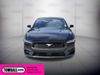 2024 Ford Mustang EcoBoost | Tomball, TX | Ask Jorge Lopez