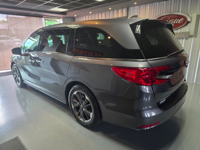 2024 Honda Odyssey Elite