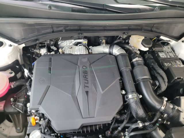 2024 Kia Sorento X-Line EX AWD - Financing -Transparent Prices - | Dickinson, ND | Autorama Auto Sales and Rentals 2024 Kia Sorento X-Line EX AWD - Financing -Transparent Prices - | Dickinson, ND | Autorama Auto Sales and Rentals