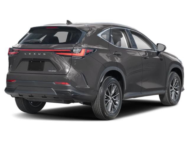 2024 Lexus NX 250 Premium