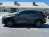 2024 Lexus NX 250 NX250 NORI GREEN PEARL CARFAX CERT 1OWNER WARRANTY | Plant City Florida | Bayshore Automotive 