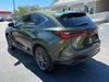 2024 Lexus NX 250 NX250 NORI GREEN PEARL CARFAX CERT 1OWNER WARRANTY | Plant City Florida | Bayshore Automotive 2024 Lexus NX 250 NX250 NORI GREEN PEARL CARFAX CERT 1OWNER WARRANTY | Plant City Florida | Bayshore Automotive