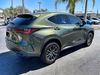 2024 Lexus NX 250 NX250 NORI GREEN PEARL CARFAX CERT 1OWNER WARRANTY | Plant City Florida | Bayshore Automotive 2024 Lexus NX 250 NX250 NORI GREEN PEARL CARFAX CERT 1OWNER WARRANTY | Plant City Florida | Bayshore Automotive