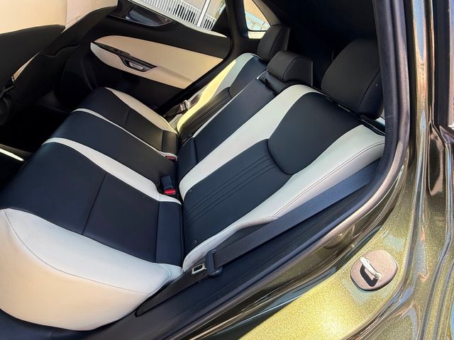 2024 Lexus NX 250 NX250 NORI GREEN PEARL CARFAX CERT 1OWNER WARRANTY | Plant City, FL | psv5 DEMO - Bayshore Automotive