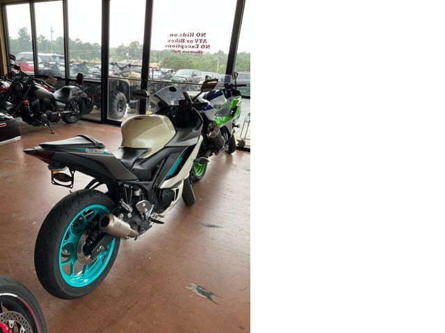 2024 Yamaha YZF R3 - John Gibson Auto Sales Hot Springs 2024 Yamaha YZF R3 - John Gibson Auto Sales Hot Springs