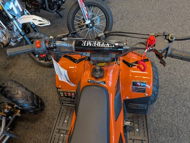 2025 Daix Gremlin Quad 110cc