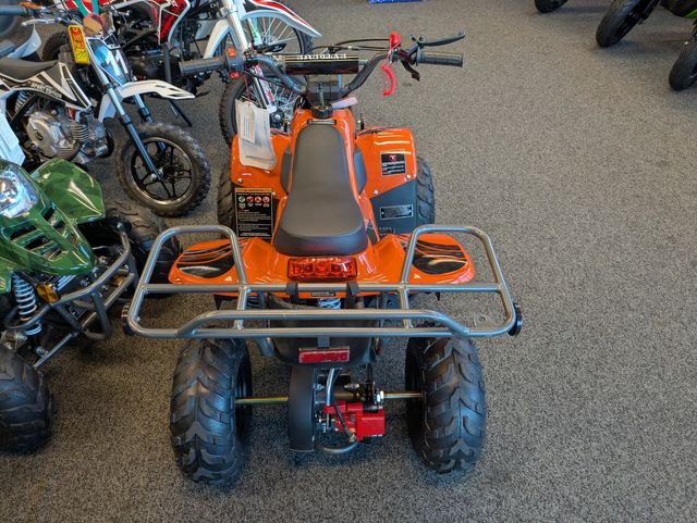 2025 Daix Gremlin Quad 110cc