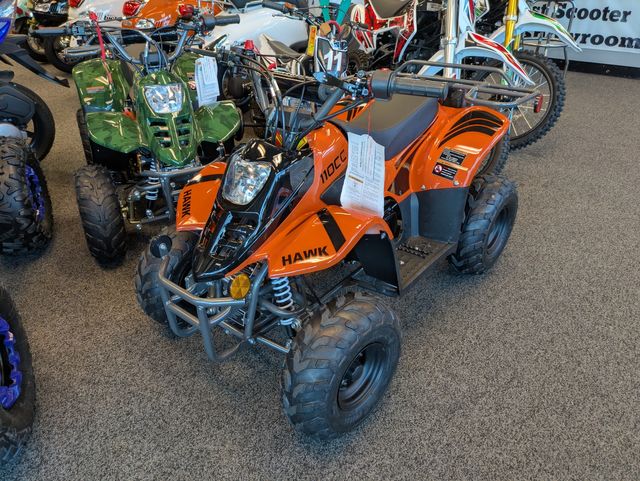 2025 Daix Gremlin Quad 110cc
