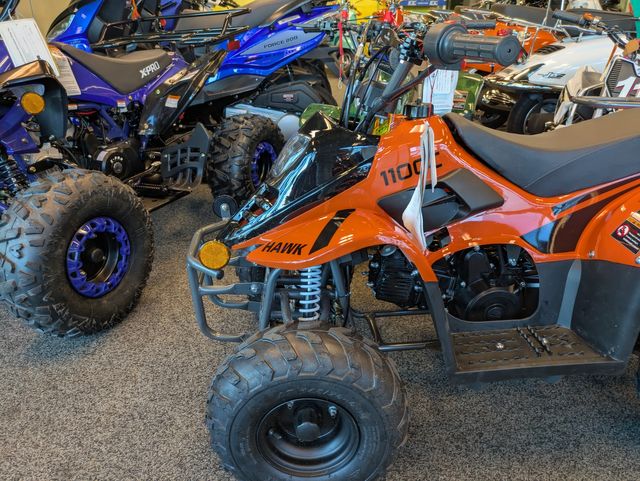 2025 Daix Gremlin Quad 110cc