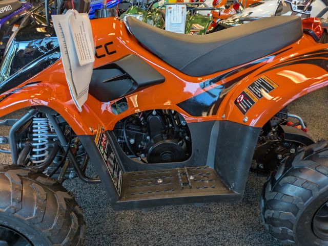 2025 Daix Gremlin Quad 110cc