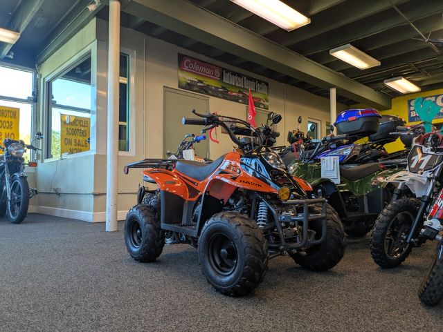 2025 Daix Gremlin Quad 110cc