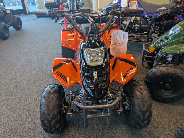 2025 Daix Gremlin Quad 110cc