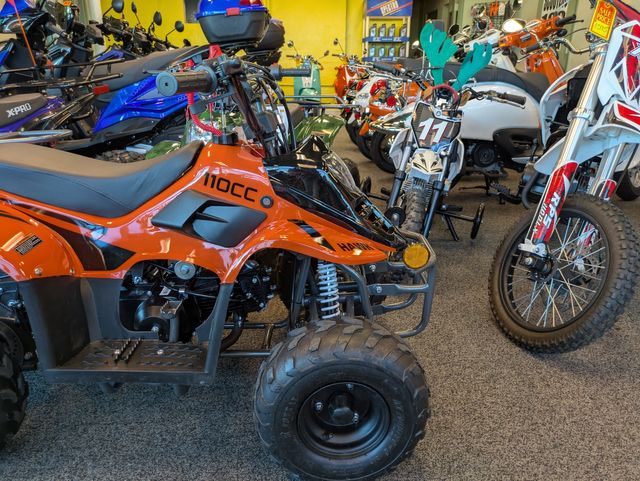 2025 Daix Gremlin Quad 110cc
