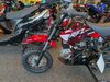 2025 Daix Junior Dirt Bike 70cc | Daytona Beach, FL | Midtown Motorcycles &amp; Scooters